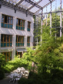 Foto: Bambus, Tische und Stühle im Innenhof des Informatik-Gebäudes